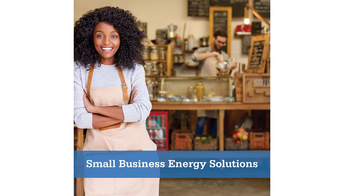 DESC-Small-Business-Energy-Solutions